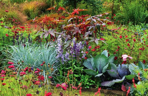 Сад в природном стиле: принципы и растения