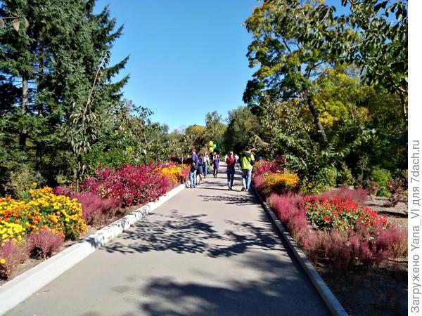Ботанический сад ДВО РАН. Последний день сентября 2017