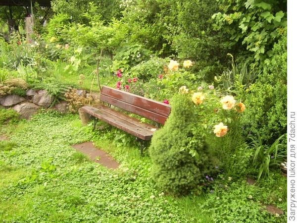 Декоративные элементы сада. Лавочки, скамейки, качели, колодец в качестве декоративных элементов сада