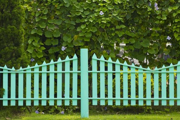 Деревянный забор для дачи: красивые идеи