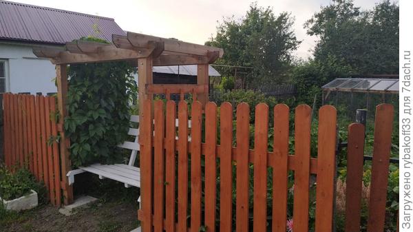 Пергола, лавочка и новый забор на даче. Мастер-класс с пошаговыми фото