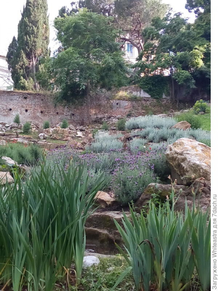 Ботанический сад Рима. Часть 1 - дендрарий