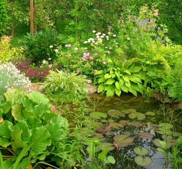Пруд, ручей или фонтан - выбираем стиль водоема в соответствии со стилем сада
