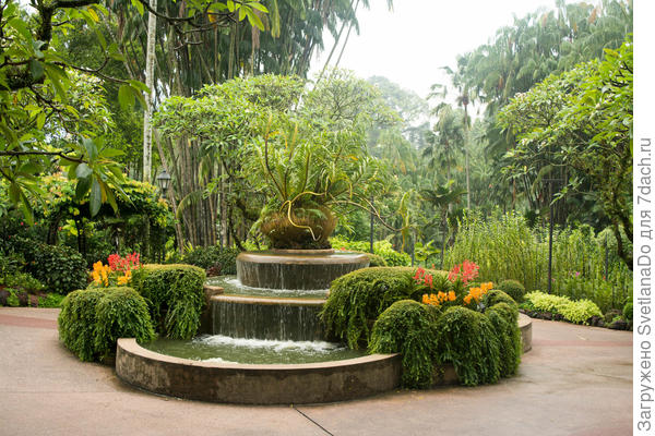 Сингапурский ботанический сад (просто захотелось поделиться красотой)