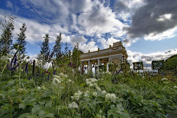 Городские «карманные» сады и парки - онлайн-обсуждение в рамках фестиваля "Цветочный джем"