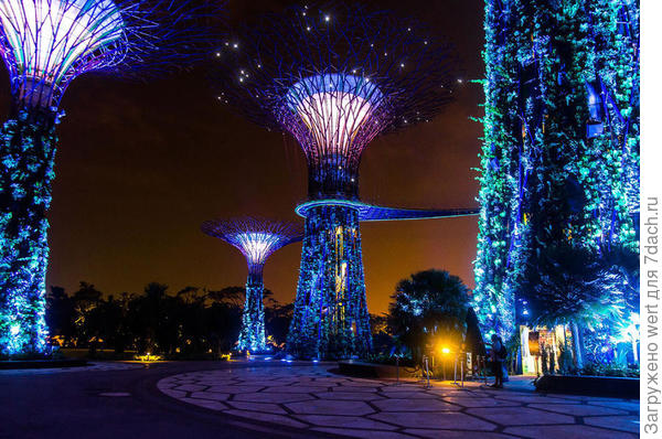 Сингапурский чудо-парк Gardens By The Bay