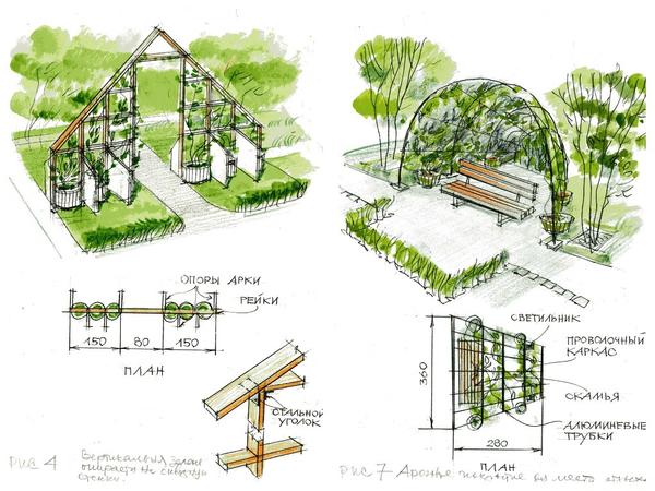 Вертикальное озеленение сада: 3 способа ландшафтного дизайна