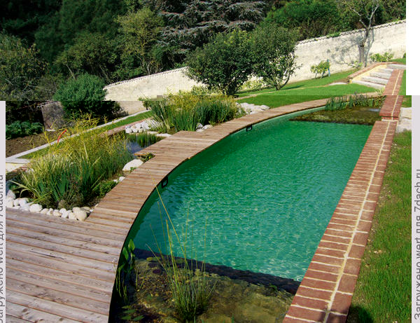 Новый тренд в садовом дизайне — ландшафтные бассейны