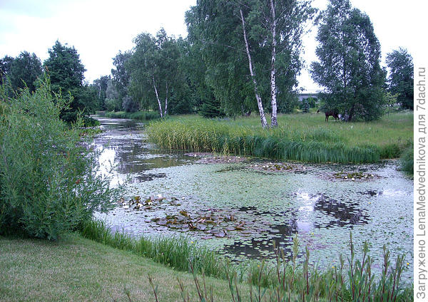 Русские водные сады