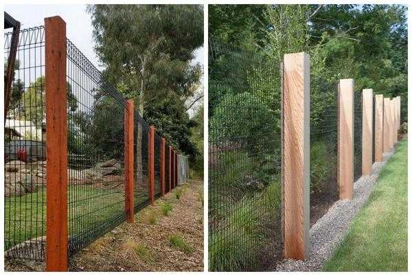 Красивый забор из сетки: как украсить или построить. Фото
