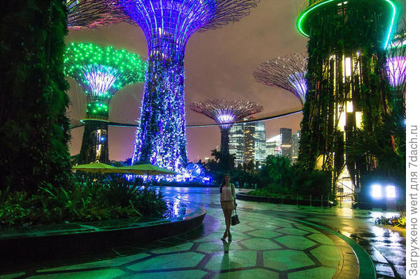 Сингапурский чудо-парк Gardens By The Bay