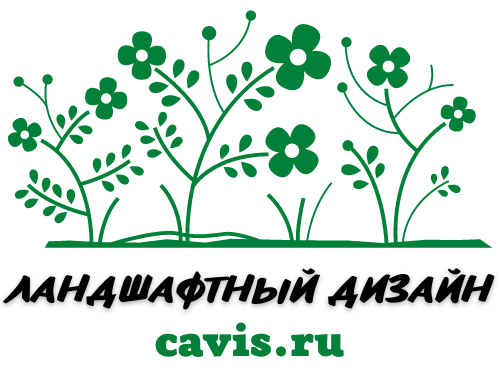 Cavis.ru