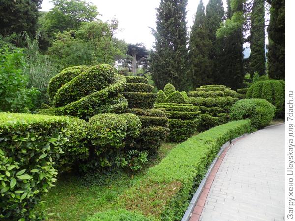 VI Международная научная конференция «Ландшафтная архитектура в ботанических садах и дендропарках» (Ялта, Крым)