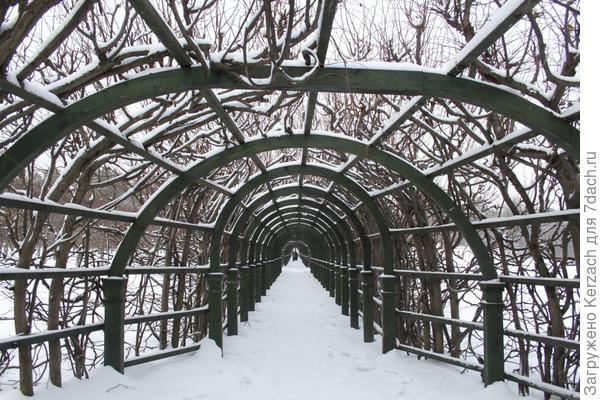 Зимние пейзажи в Архангельском