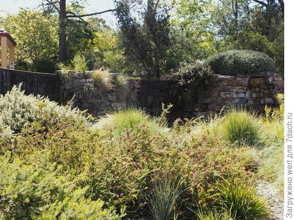 Австралийский сад в стиле натюрель на большом участке
