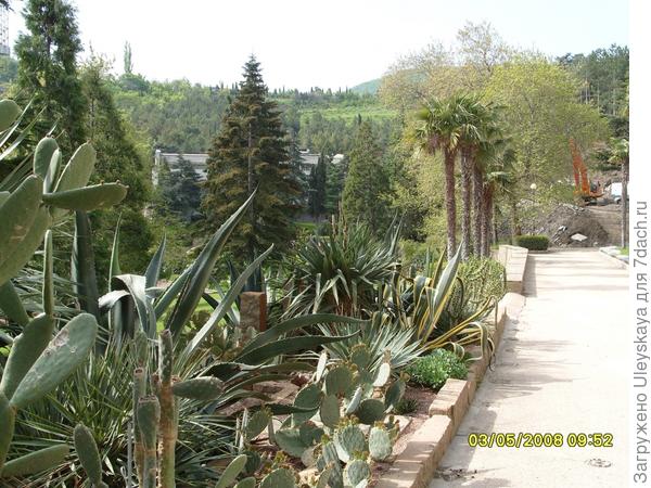 Мексиканский сад в ЛОК "Айвазовское"