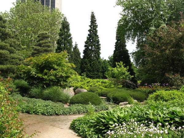 Сад из кустарников: как выбрать растения